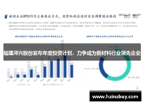 福建浔兴股份发布年度投资计划，力争成为新材料行业领先企业